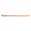 HONDENLOOPRIEM LEER 12MM, NATUREL HONDENLOOPRIEM LEER 12MM, NATUREL