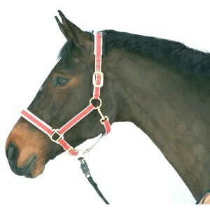 LUXE HALSTER NYLON/LEER ROOD-3 - FULL LUXE HALSTER NYLON/LEER ROOD-3 - FULL