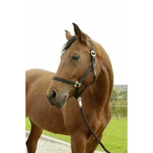 HIPPO HALSTER ZWART- 1 - PONY HIPPO HALSTER ZWART- 1 - PONY
