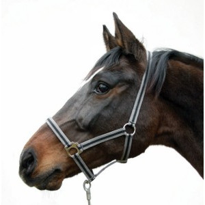 HIPPO HALSTER GRIJS/ZWART-1 - PONY HIPPO HALSTER GRIJS/ZWART-1 - PONY