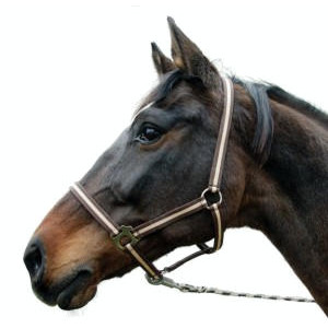 HIPPO HALSTER BRUIN/BEIGE-00 - VEULEN/MINI SHETLAND HIPPO HALSTER BRUIN/BEIGE-00 - VEULEN/MINI SHETLAND
