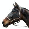 HIPPO HALSTER BRUIN/BEIGE-00 - VEULEN/MINI SHETLAND