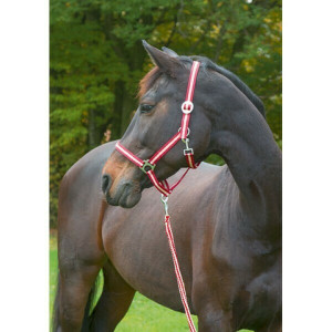 HIPPO HALSTER BORDEAUX/BEIGE-00 - VEULEN/MINI SHETLAND HIPPO HALSTER BORDEAUX/BEIGE-00 - VEULEN/MINI SHETLAND