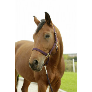 HIPPO HALSTER AUBERGINE- 0 - SHETLAND HIPPO HALSTER AUBERGINE- 0 - SHETLAND