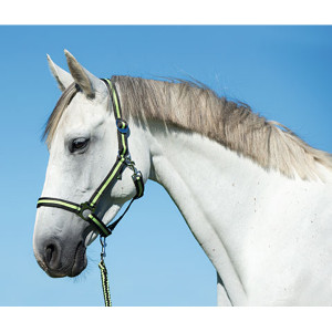HIPPO HALSTER ANTRA/LEMON-1 - PONY HIPPO HALSTER ANTRA/LEMON-1 - PONY