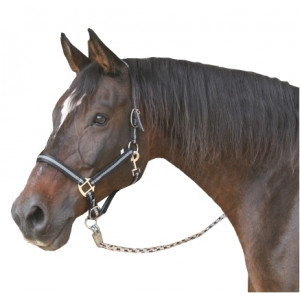 MUSTANG HALSTER 2X VERST. ZWART/ZILVER-2 - COB MUSTANG HALSTER 2X VERST. ZWART/ZILVER-2 - COB