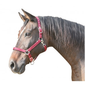 MUSTANG HALSTER 2X VERST. ROOD/ZWART-3 - FULL MUSTANG HALSTER 2X VERST. ROOD/ZWART-3 - FULL