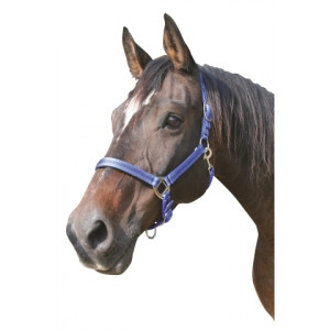 MUSTANG HALSTER 2X VERST. BLAUW/ZWART-2 - COB MUSTANG HALSTER 2X VERST. BLAUW/ZWART-2 - COB