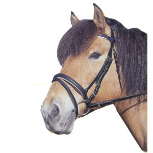 HOOFDSTEL STANDARD LEER ZWART, FULL HOOFDSTEL STANDARD LEER ZWART, FULL
