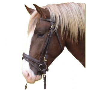 HOOFDSTEL STANDARD LEER BRUIN, PONY HOOFDSTEL STANDARD LEER BRUIN, PONY