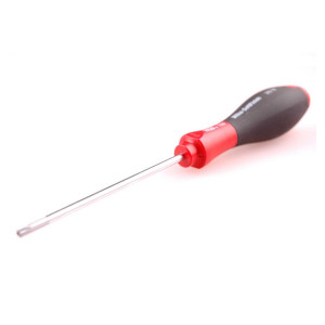 SCHROEVENDRAAIER ECONOM TORX