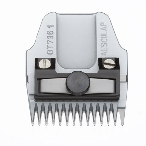 SCHEERKOP FAVORITA 1MM TERRIERS GROF SCHEERKOP FAVORITA 1MM TERRIERS GROF