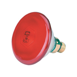 WARMTELAMP PHILIPS 175W. ROOD WARMTELAMP PHILIPS 175W. ROOD