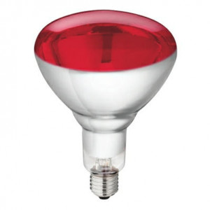 WARMTELAMP PHILIPS 250W. ROOD WARMTELAMP PHILIPS 250W. ROOD