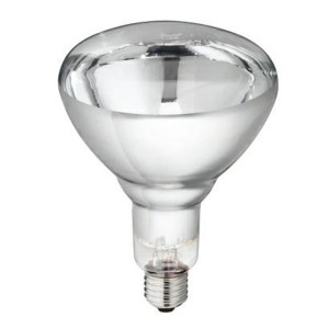 WARMTELAMP PHILIPS 250W. WIT WARMTELAMP PHILIPS 250W. WIT
