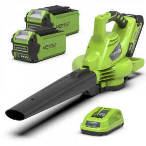 Greenworks Bladblazer/Zuiger 40V DIGIPRO Met 2x 2.0Ah Accu en lader Greenworks Bladblazer/Zuiger 40V DIGIPRO Met 2x 2.0Ah Accu en lader